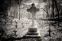 St Mary's Convent, 2017