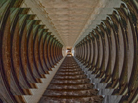 Fisheye Ellis Is. hospital room