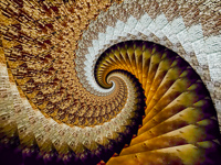 Croton Pt wine cellar