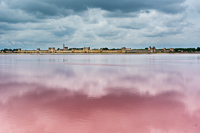 Aigues Mortes Salt Works, 2016