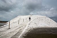 Aigues Mortes Salt Works, 2016