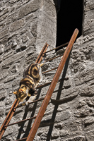 Psalmodi, Moose, 2006