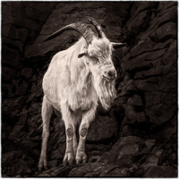 France, Ardeche, 2014