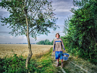 Near Chateau Teillan, 2006