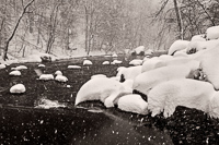 Silver Lake, Croton, 2016