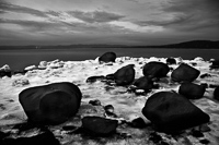 Croton Point, Potato Rocks, 2008