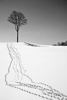 Hudson National, 2008