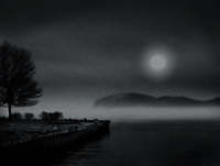 Croton Point, Night Moon, 2007