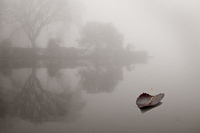 Croton Point Beach, 2007