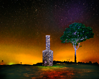 Croton National 2015