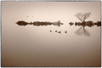 Croton Landing, 2011