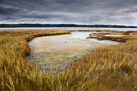 Bunganuc Marsh, Maine,,,,,,,,,,,,,,,,,, 2009