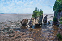 Hopewell Rocks, New Brunswick, 2018