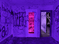 Purple Room