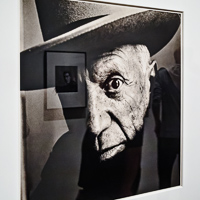 NYC Met, Irving Penn, 2017