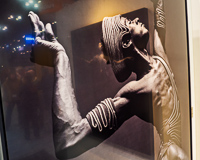 NYC PDN Photoplus, 2018