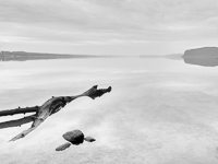 The River Reveals No. 1