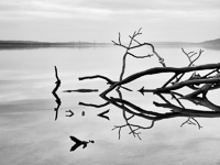 The River Writes-Mo. 1