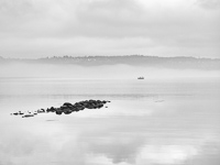 The River Reveals No. 2