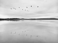 The River Carries No.2