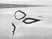 The River Reflects No.1