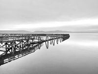 The River Surrounds No2