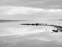 The River Reveals No.2