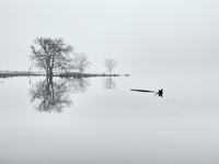 The River Disappears No 2