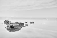 The River Reveals No.3