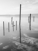 The River with 9 Poles