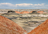 Bisti Badlands, 2007