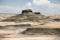Bisti Badlands, 2007