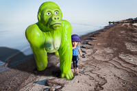 Sandy and the Gorrilla,  2011