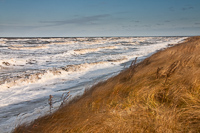 Villas Mud Forms, 2009
