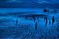 Villas Pilings Study 6, 2010