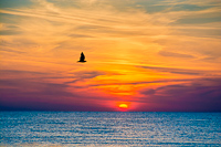 Another Sunset, Villas NJ, 2015